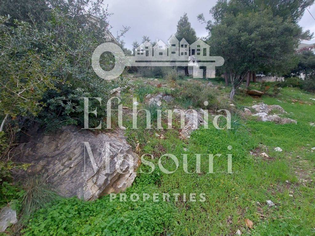 Εξωτερικοι χώροι