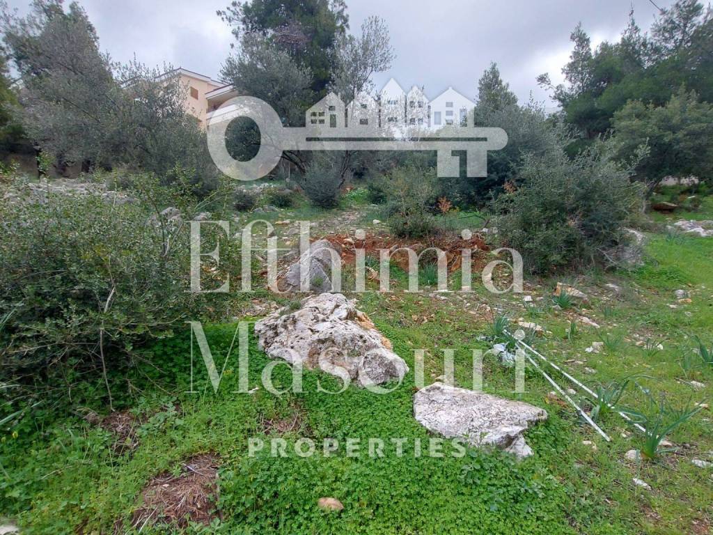 Εξωτερικοι χώροι