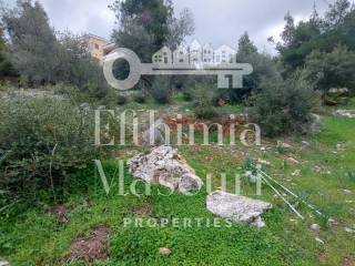 Εξωτερικοι χώροι