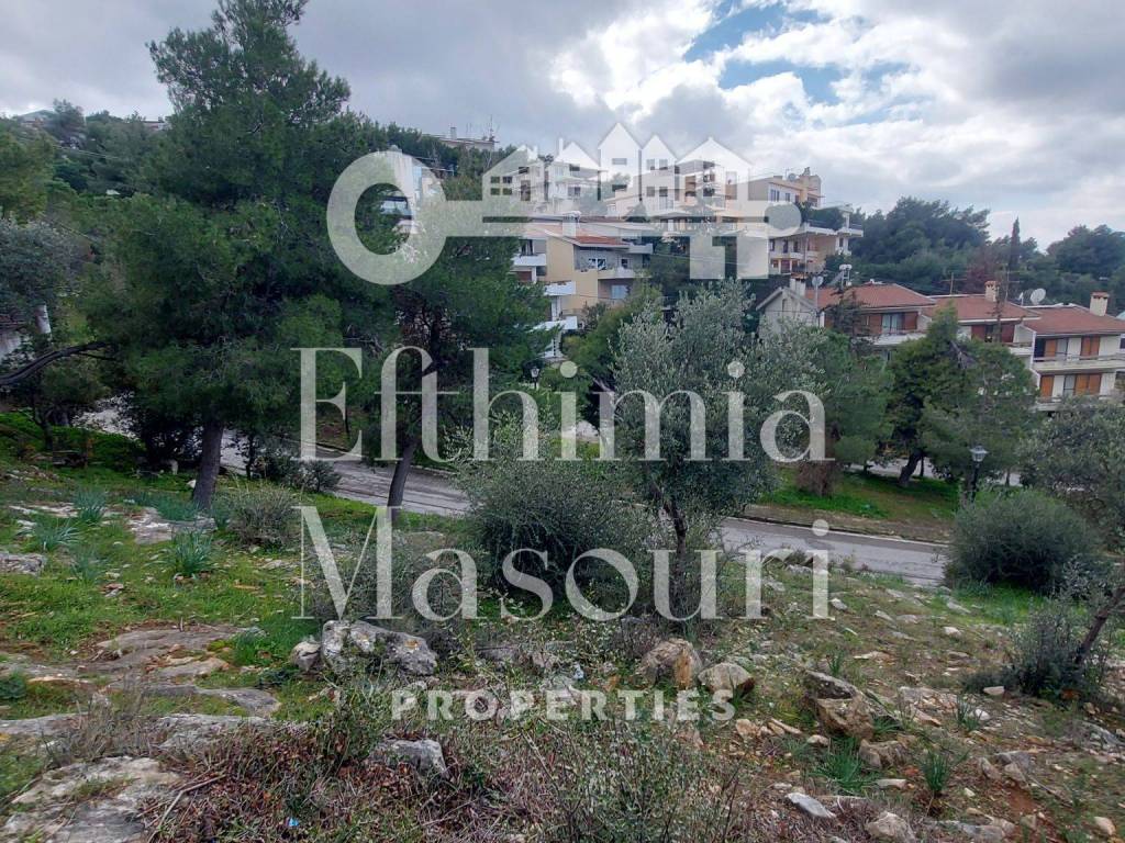 Εξωτερικοι χώροι