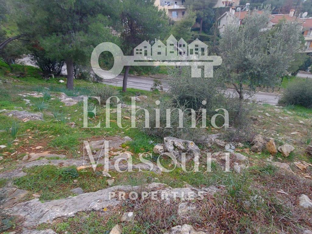 Εξωτερικοι χώροι