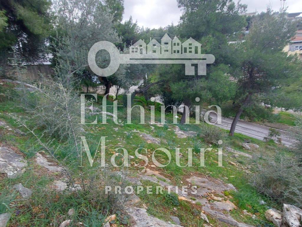 Εξωτερικοι χώροι