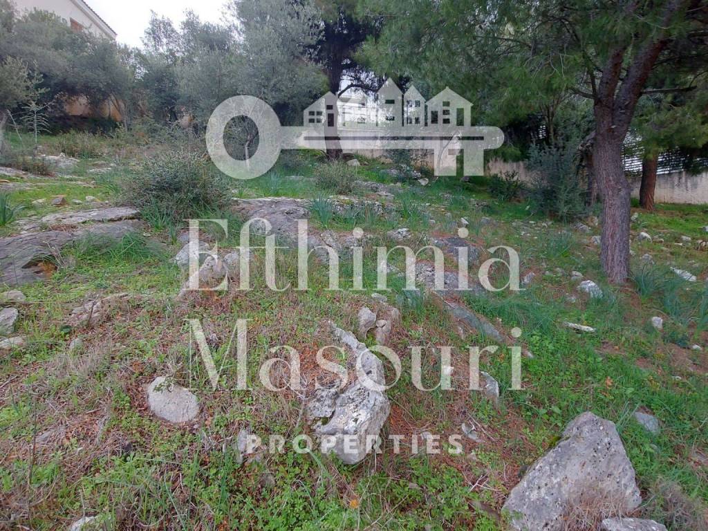 Εξωτερικοι χώροι