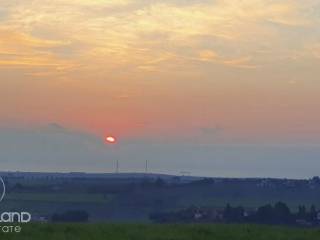 Forumland Real Estate, Αγροτεμάχιο