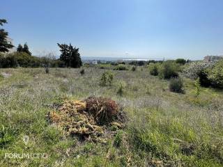 Forumland Real Estate, Agrotemachio