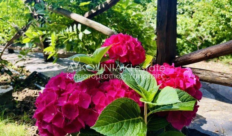 Ύπαρξη ανθρώπου