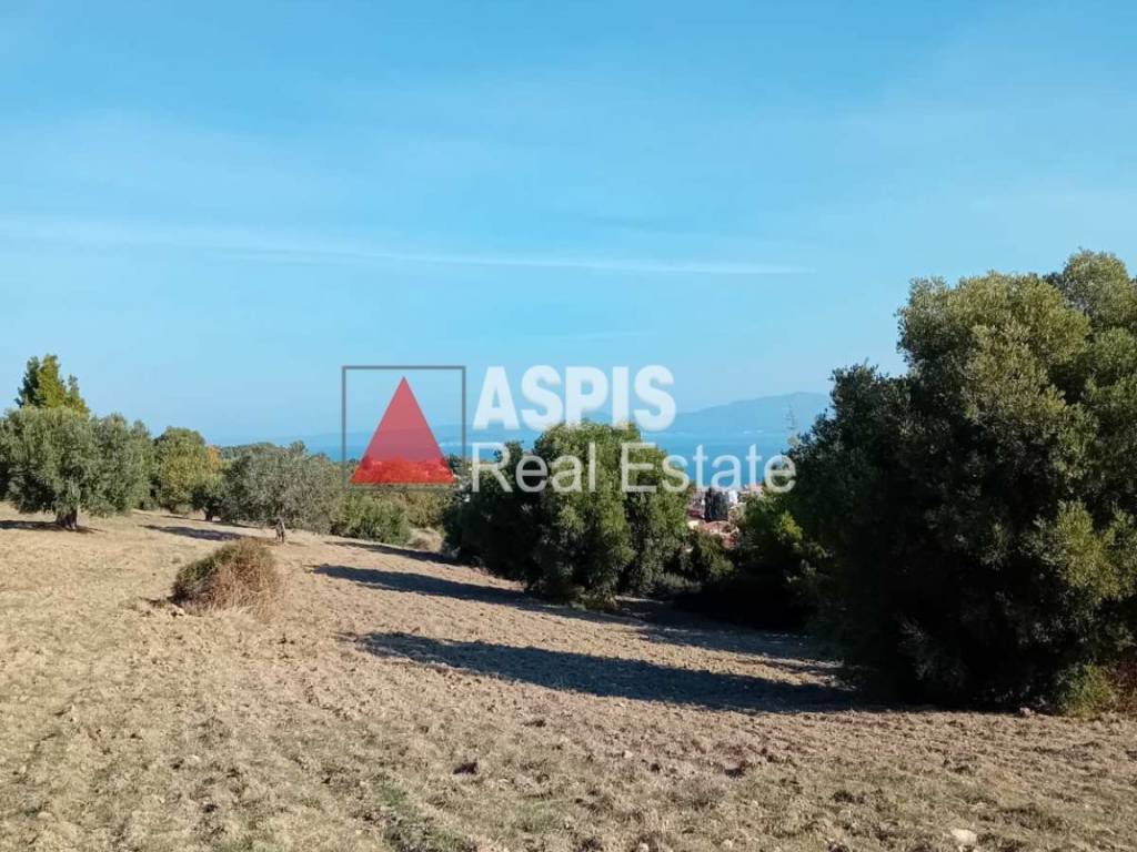 Εξωτερικοι χώροι