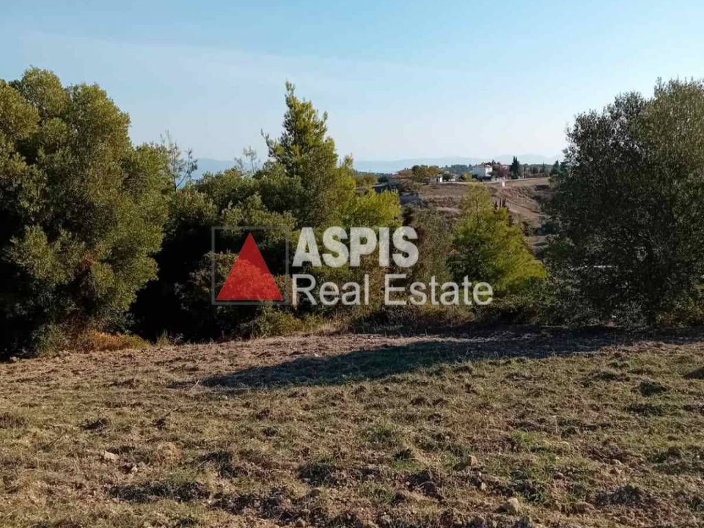 Εξωτερικοι χώροι