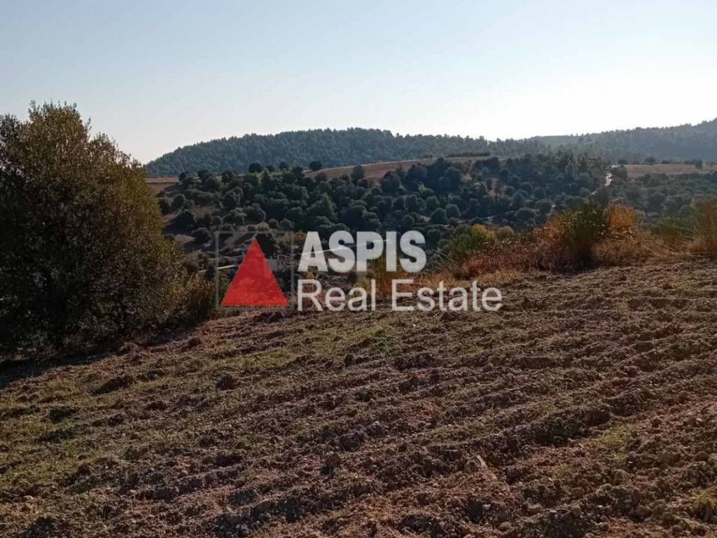 Εξωτερικοι χώροι