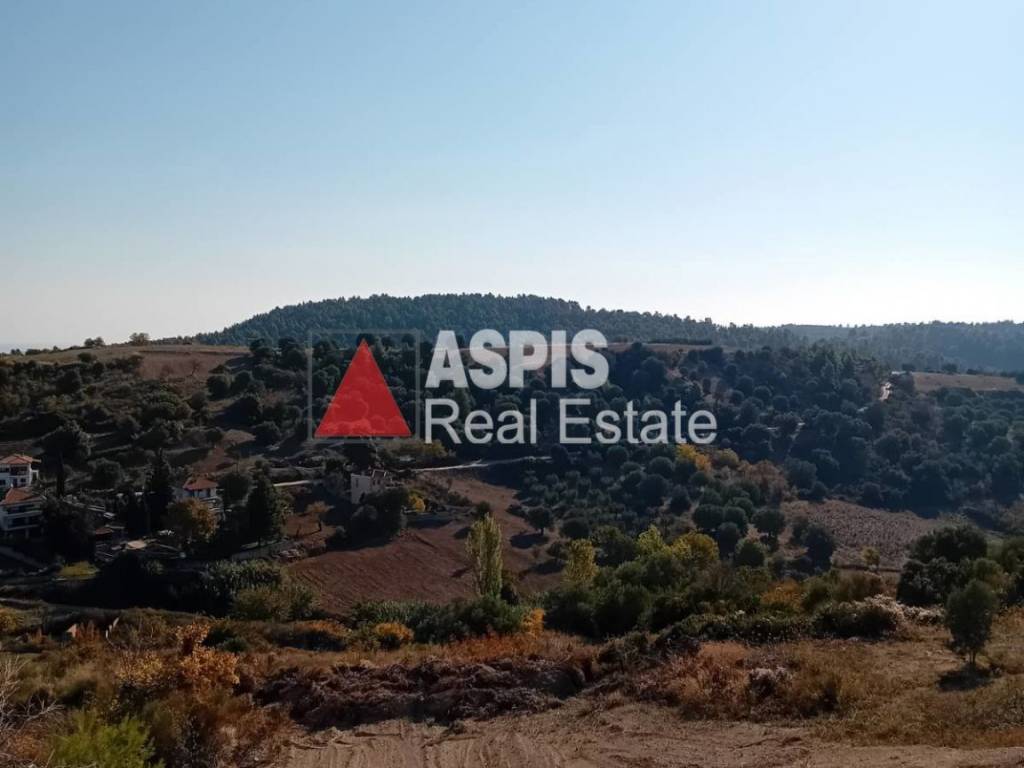 Εξωτερικοι χώροι