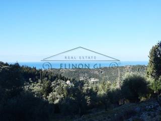 Η θέα προς τη θάλασσα από το αγροτεμάχιο