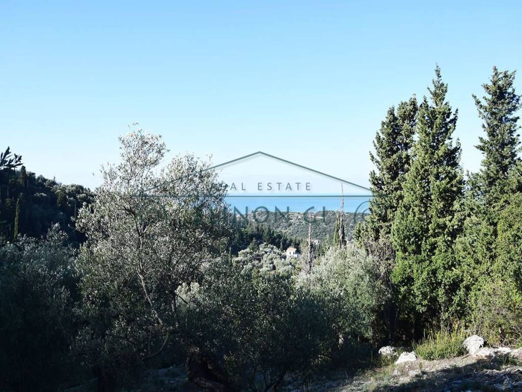 Η θέα προς τη θάλασσα από το αγροτεμάχιο