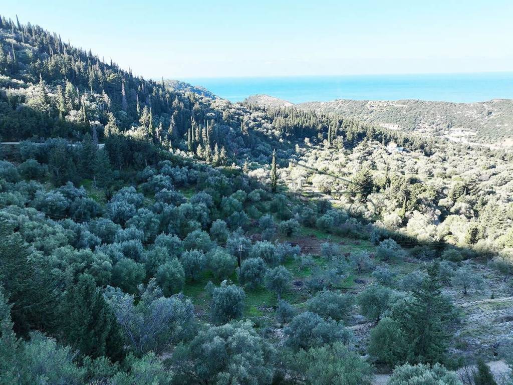 E thea pros te thalassa apo to agrotemachio