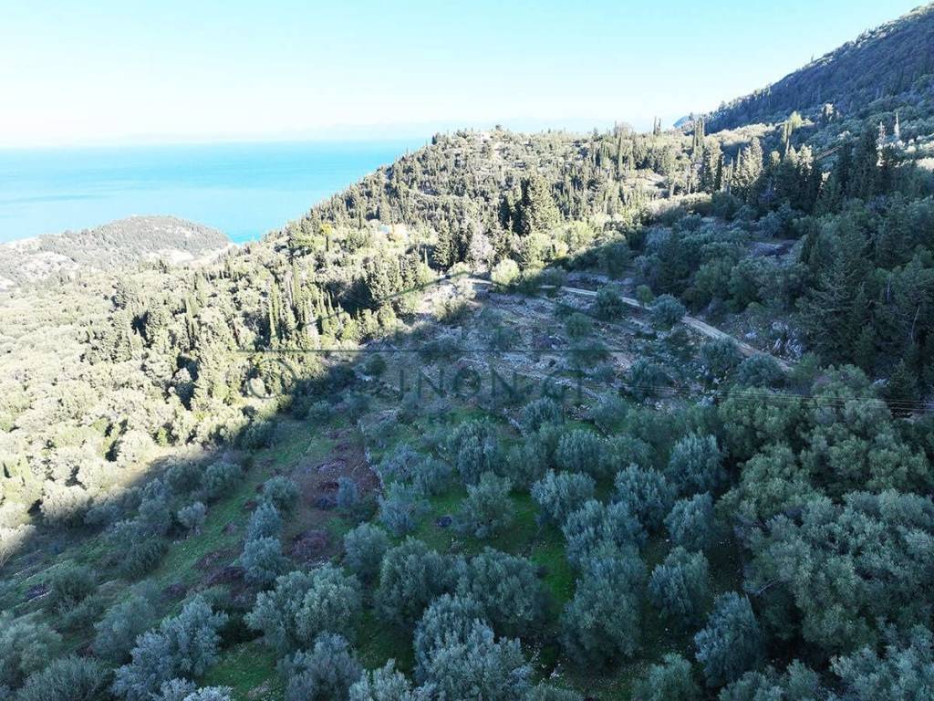 O megalos peripoiemenos elaionas