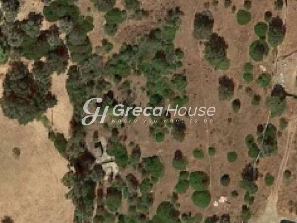 Παραθαλάσσιο Οικόπεδο με Κατοικία προς πώληση στα Στύρα