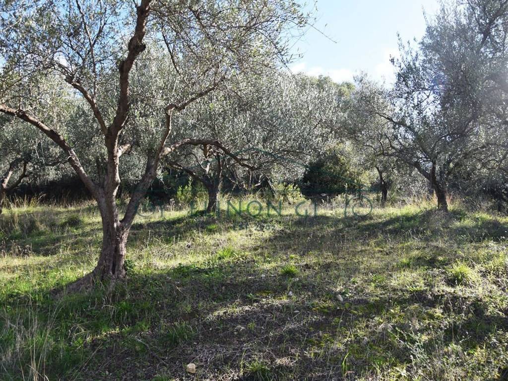 Entos toy agrotemachioy