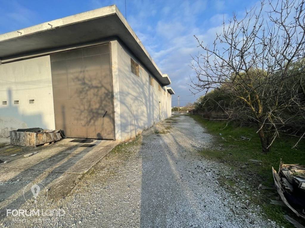 Forumland Real Estate, επαγγελματικός χώρος