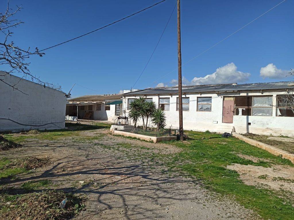 TMEMA TON KTERION KAI TOY AGROTEMACHIOY