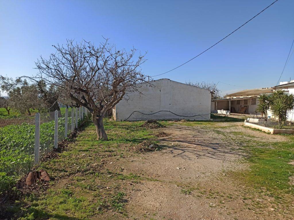 TMEMA TON KTERION KAI TOY AGROTEMACHIOY