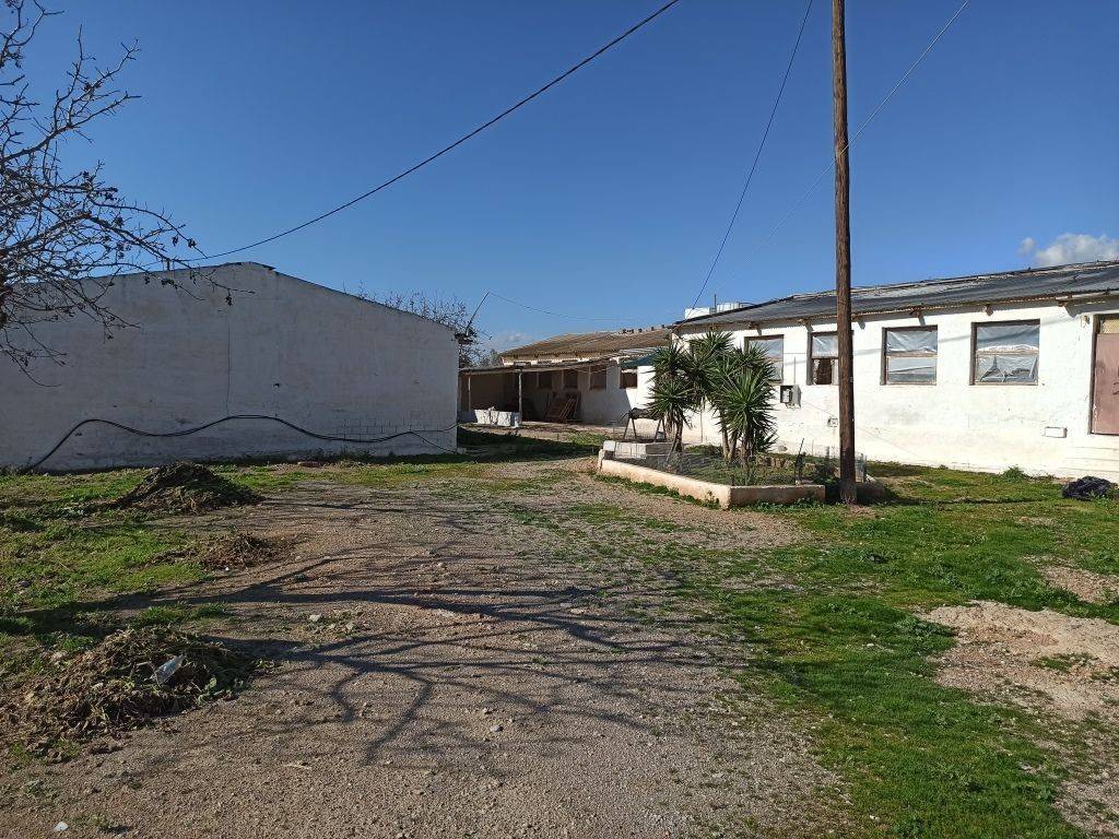 TMEMA TON KTERION KAI TOY AGROTEMACHIOY