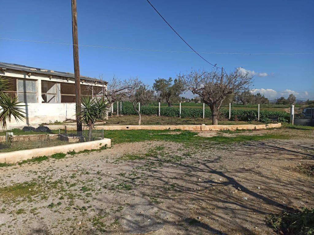 TMEMA TON KTERION KAI TOY AGROTEMACHIOY