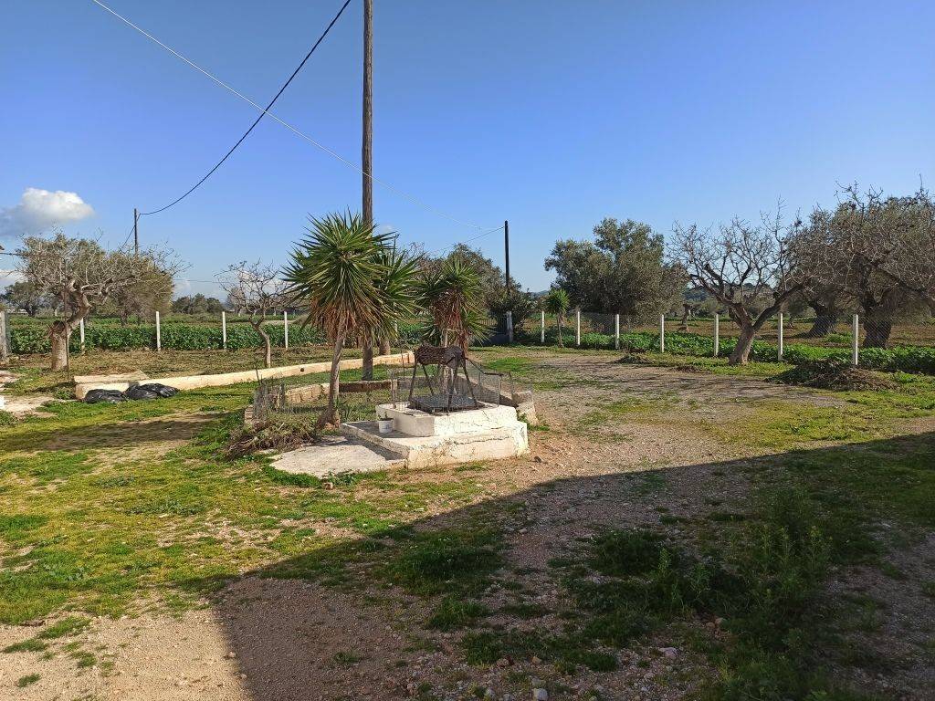 TMEMA TOY AGROTEMACHIOY