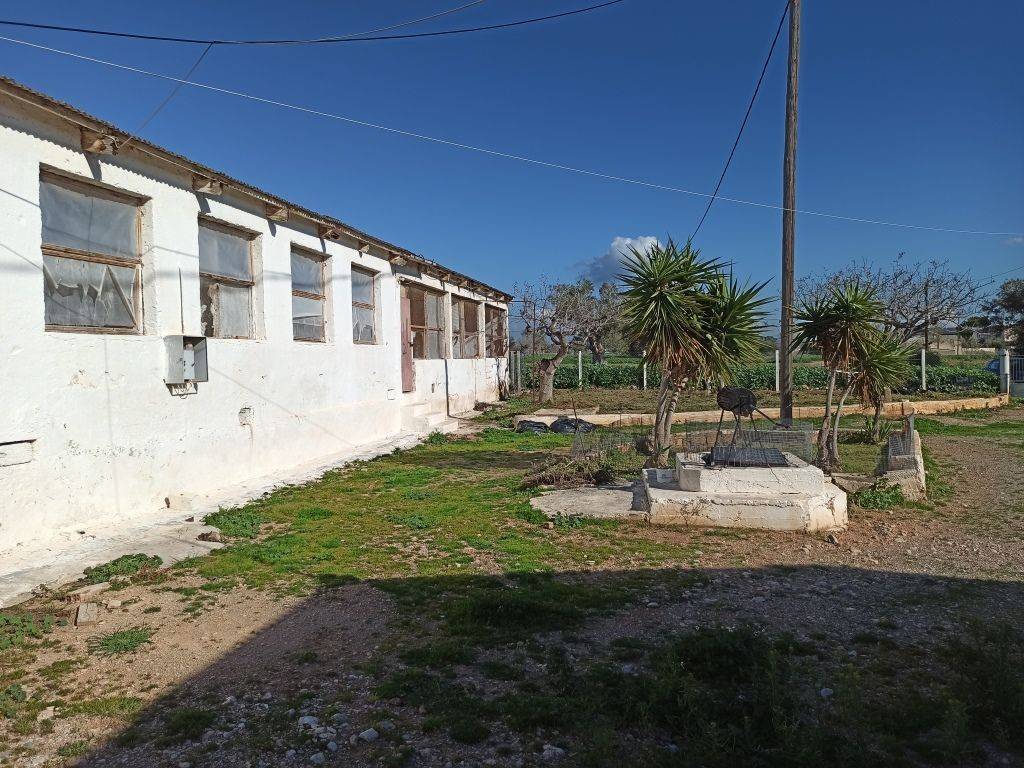 TMEMA TON KTERION KAI TOY AGROTEMACHIOY