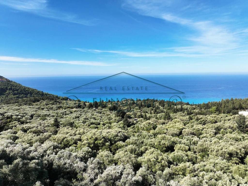 Η θέα από το αγροτεμάχιο