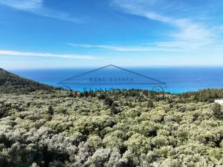 Η θέα από το αγροτεμάχιο