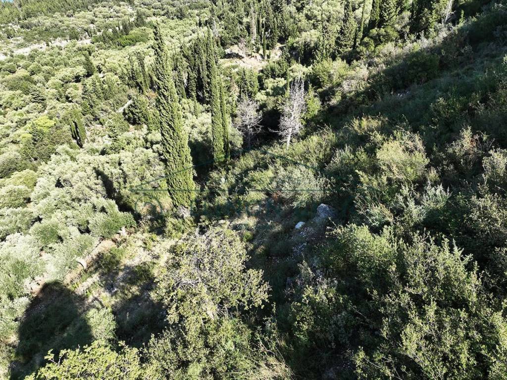 Το αγροτεμάχιο από ψηλά