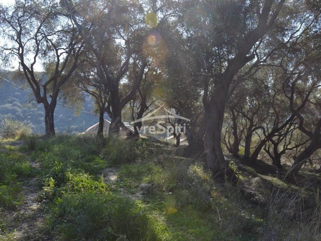 ΑΠΟΨΗ ΟΙΚΟΠΕΔΟΥ