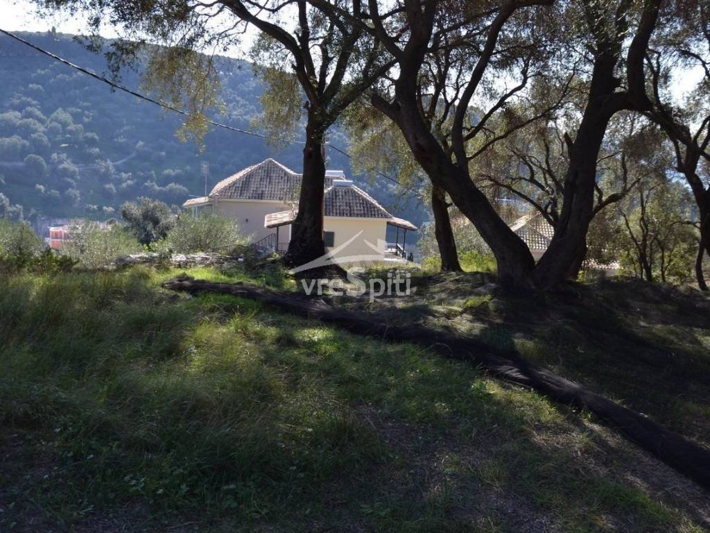 ΑΠΟΨΗ ΟΙΚΟΠΕΔΟΥ