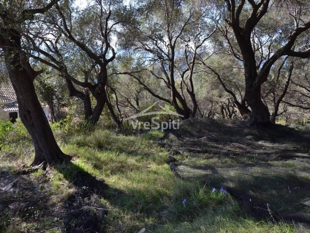 ΑΠΟΨΗ ΟΙΚΟΠΕΔΟΥ