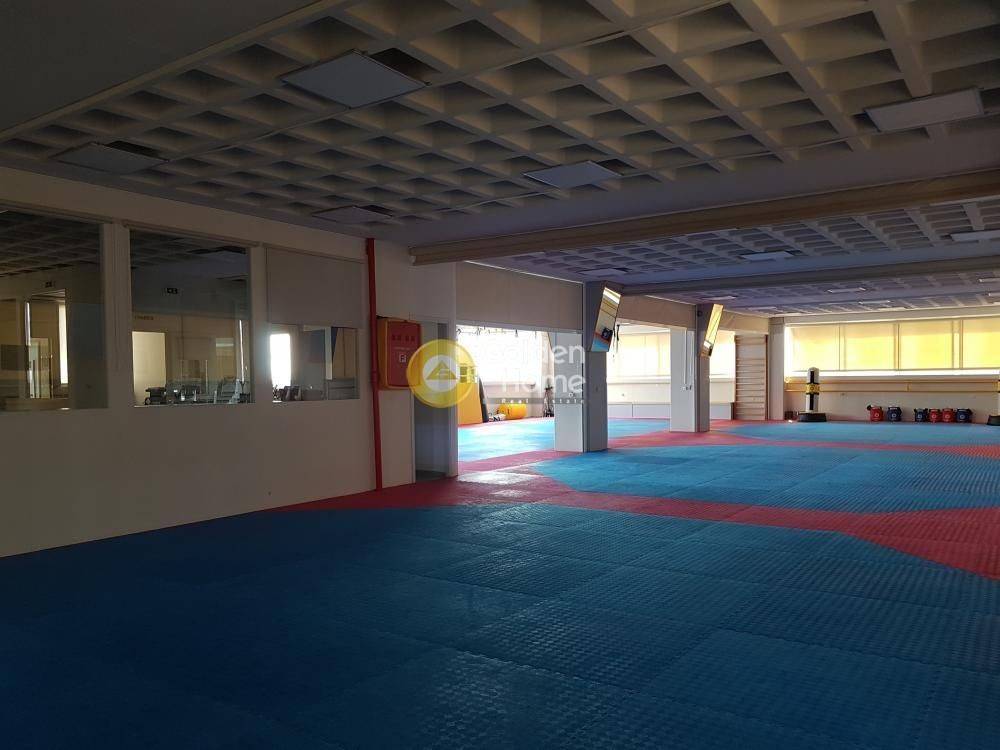 Ανελκυστήρας