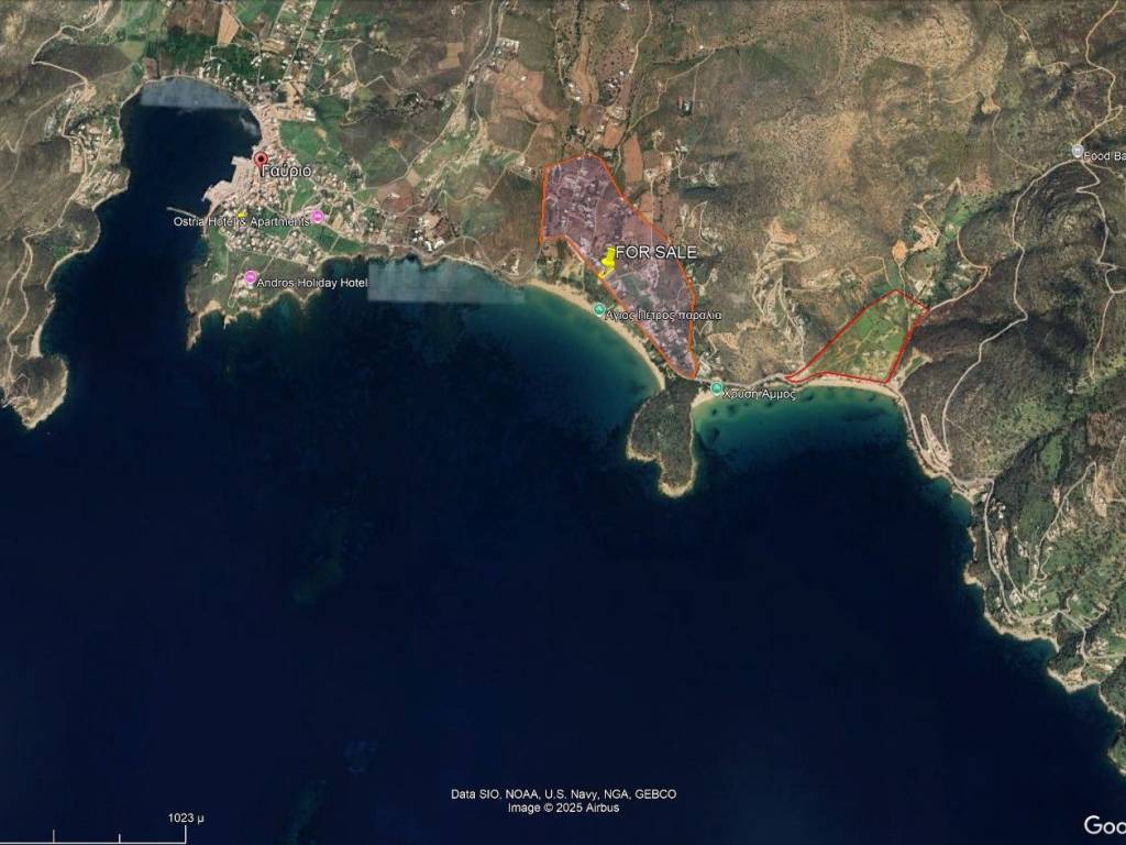 THese tes idioktesias