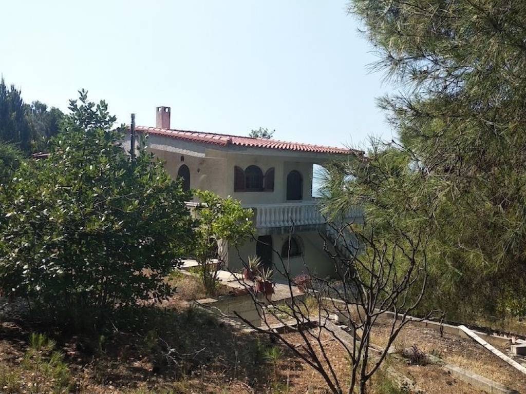 Εξωτερικοι χώροι