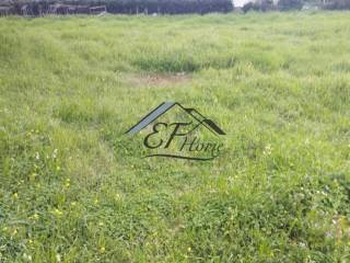 Άποψη Οικοπέδου