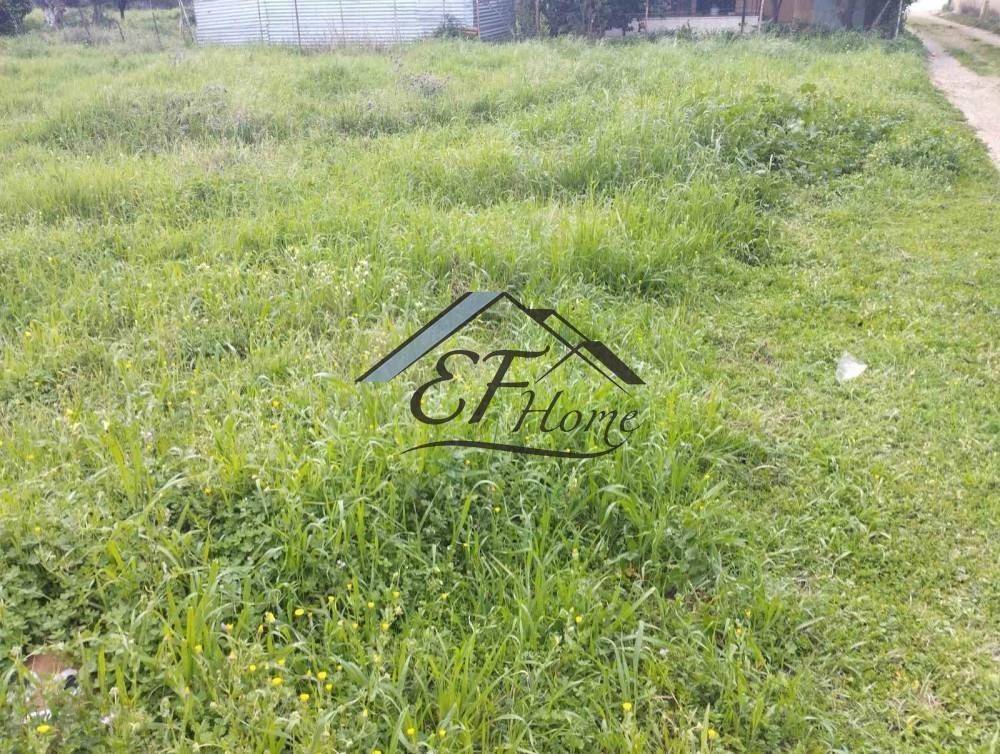 Άποψη Οικοπέδου