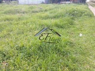 Άποψη Οικοπέδου