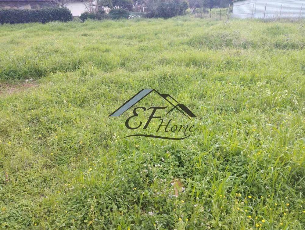 Άποψη Οικοπέδου