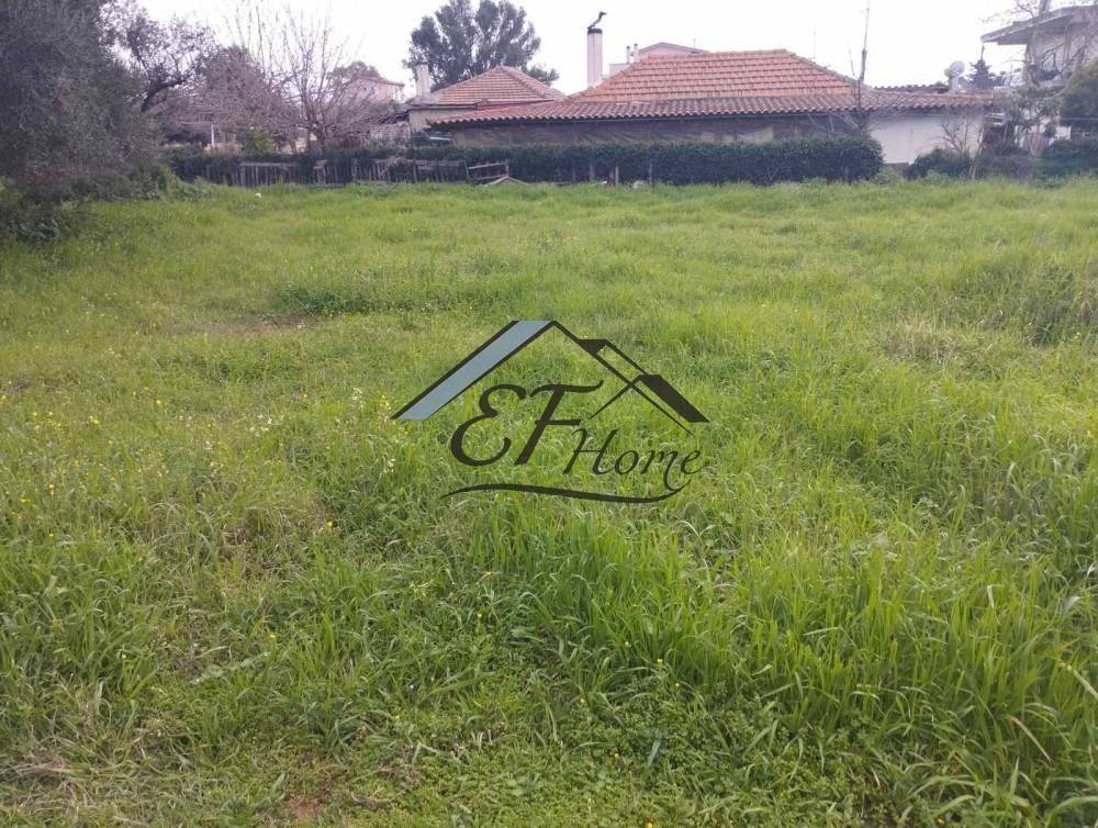 Άποψη Οικοπέδου