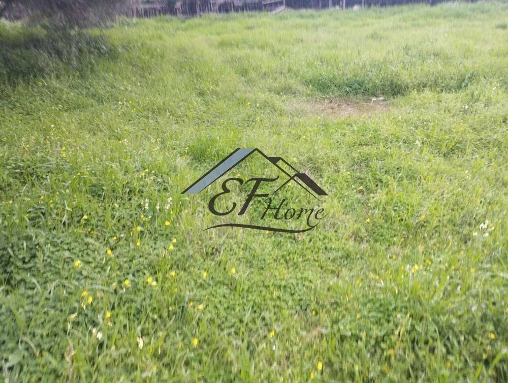 Άποψη Οικοπέδου