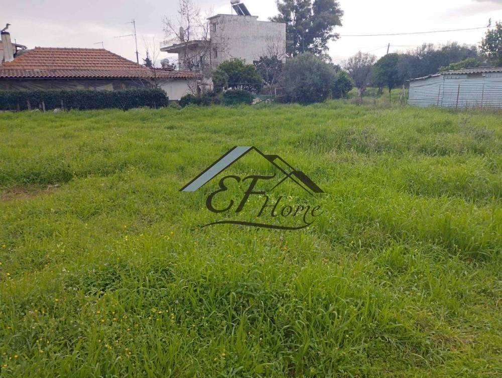 Άποψη Οικοπέδου