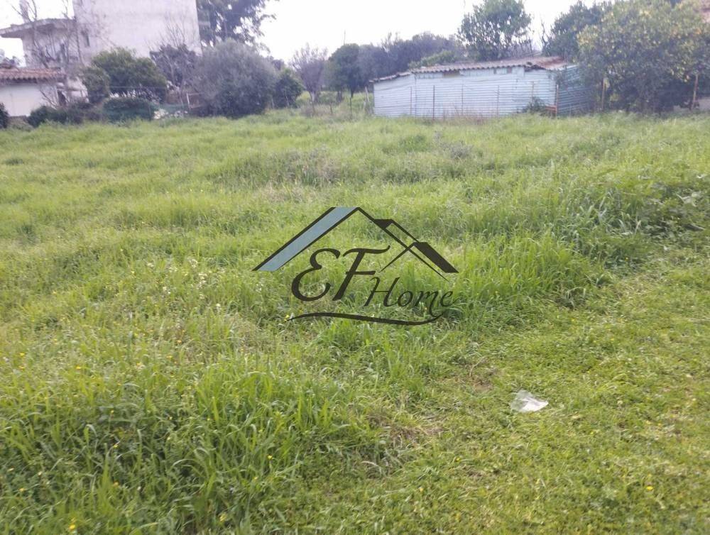 Άποψη Οικοπέδου