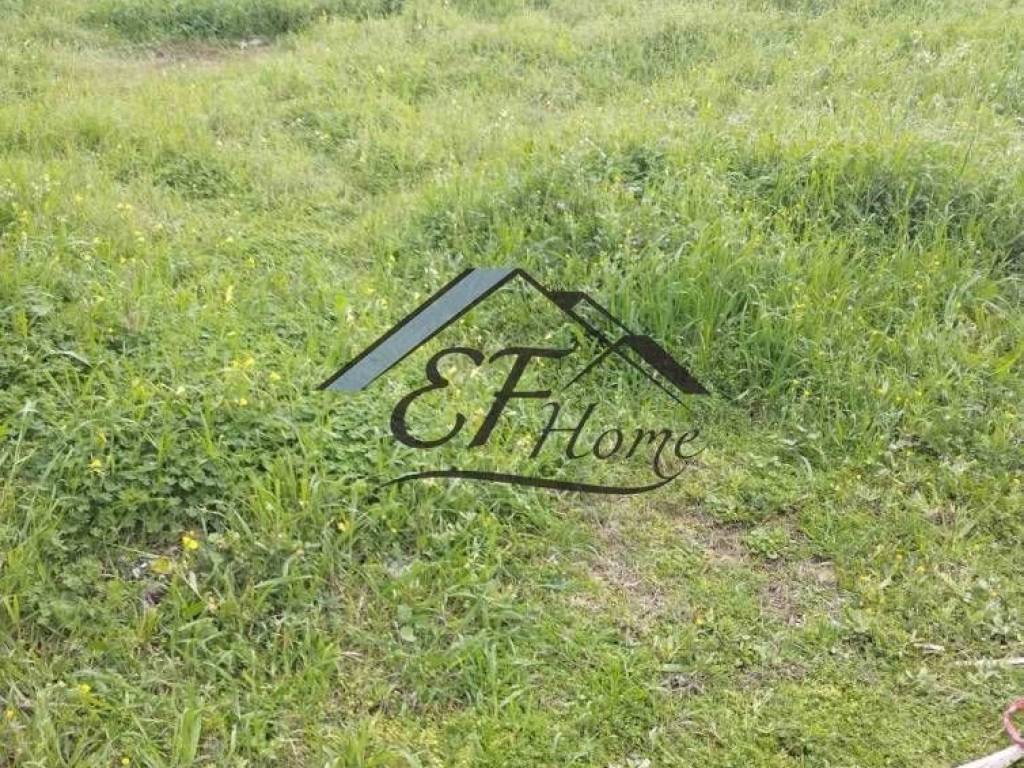 Άποψη Οικοπέδου