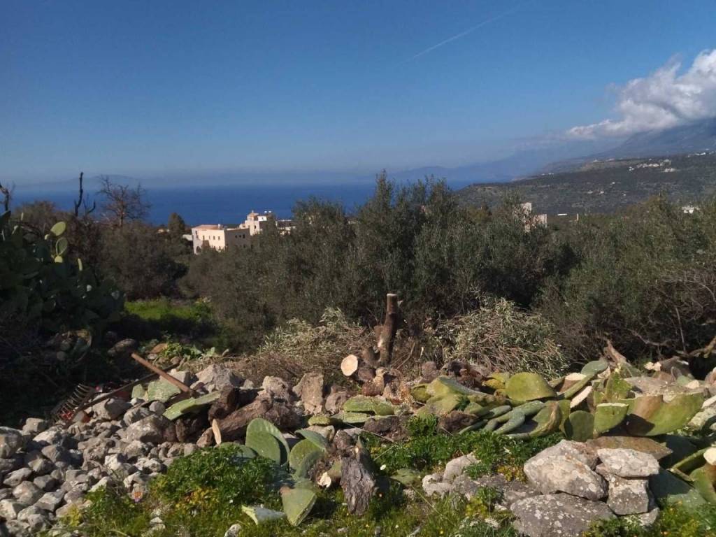 Oikopedo 117tm me thea THalassa