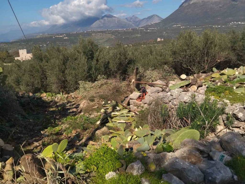 Oikopedo 117tm me thea se Areopole