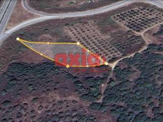 Ελευθερές, Νέα Ηρακλίτσα