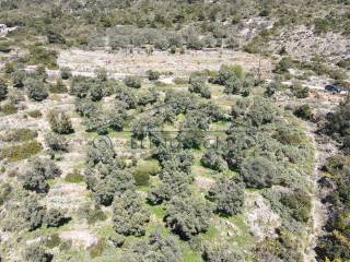 Το αγροτεμάχιο από ψηλά