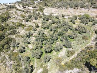 Το αγροτεμάχιο από ψηλά